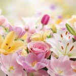 beautiful:by5oj2_qmci= flowers