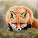 drawing:1enzi6g2cvg= fox