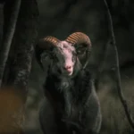 animal:dlwjz04xrs0= ram
