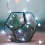shape:yl6axe4-ozq= pentagon