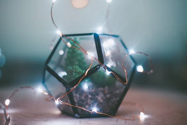 shape:yl6axe4-ozq= pentagon