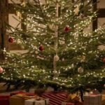 wishes:6_c85_7hrms= merry christmas