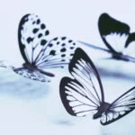 cute:lrn58vezlhw= drawing