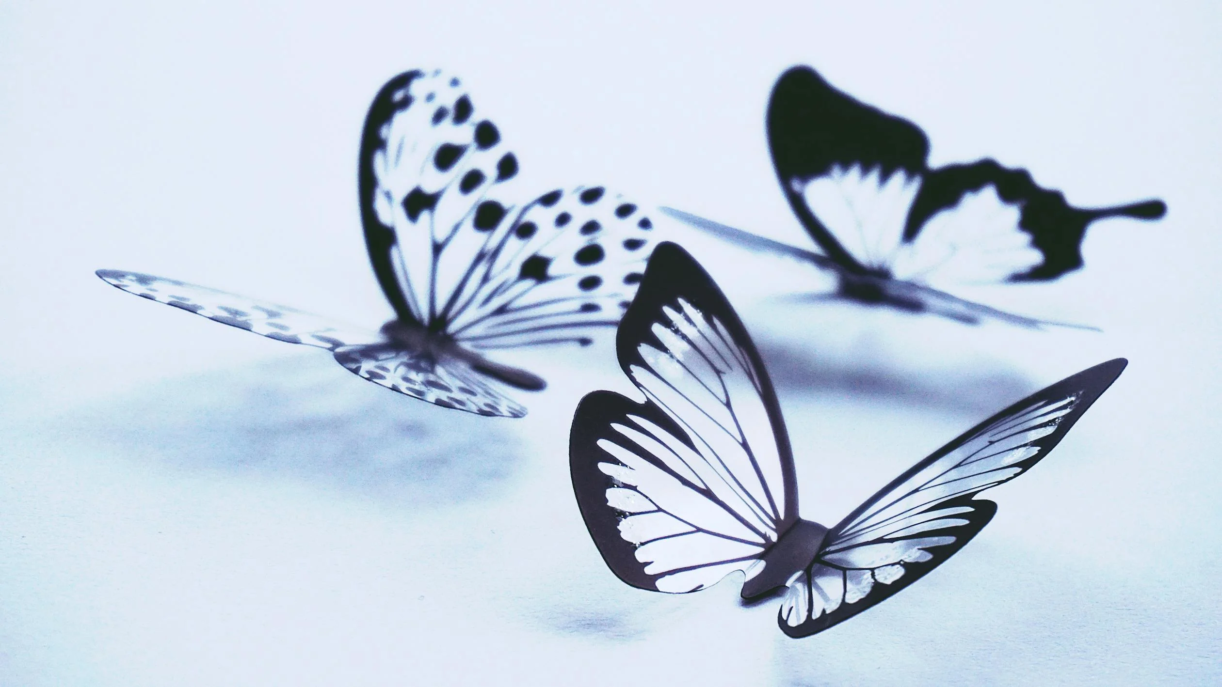 cute:lrn58vezlhw= drawing