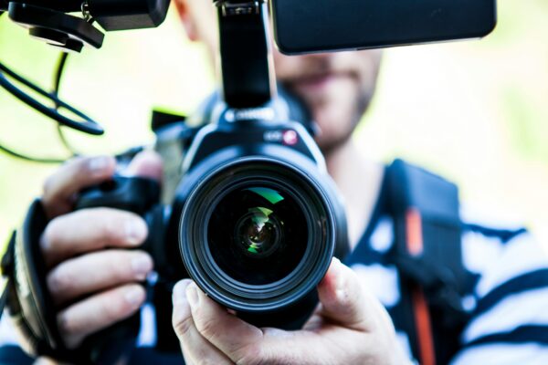Theflixer: A Streaming Experience Worth Exploring theflixer.tv